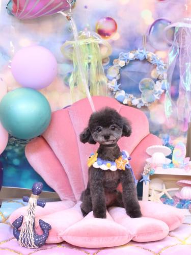 20240807NEROちゃん